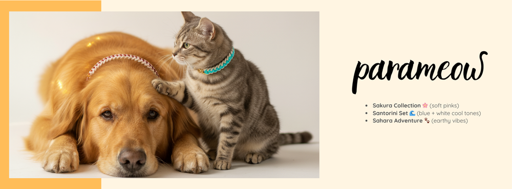 So Why Should Every Small Cat Have a Handmade Paracord Collar? Let Me Tell You!