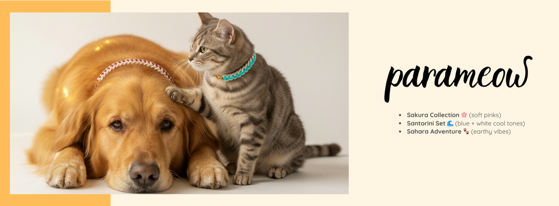 So Why Should Every Small Cat Have a Handmade Paracord Collar? Let Me Tell You!