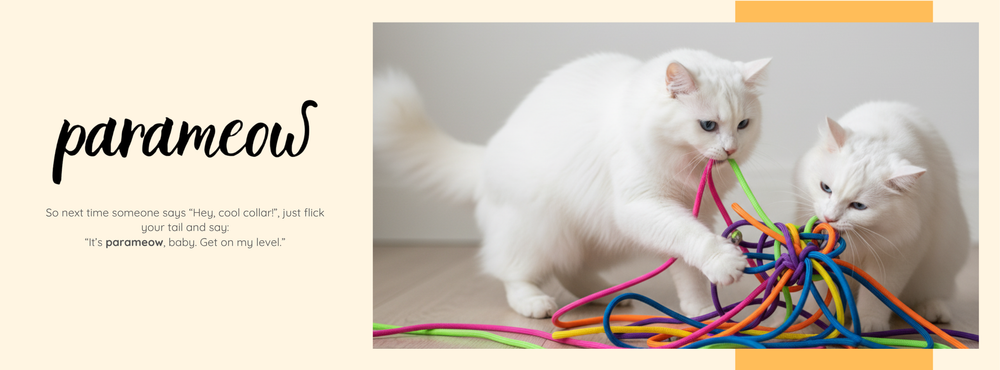 “Hey Fellow Cats! Let Me Tell You About Paracord – The Coolest String You’ll Ever Wear!”