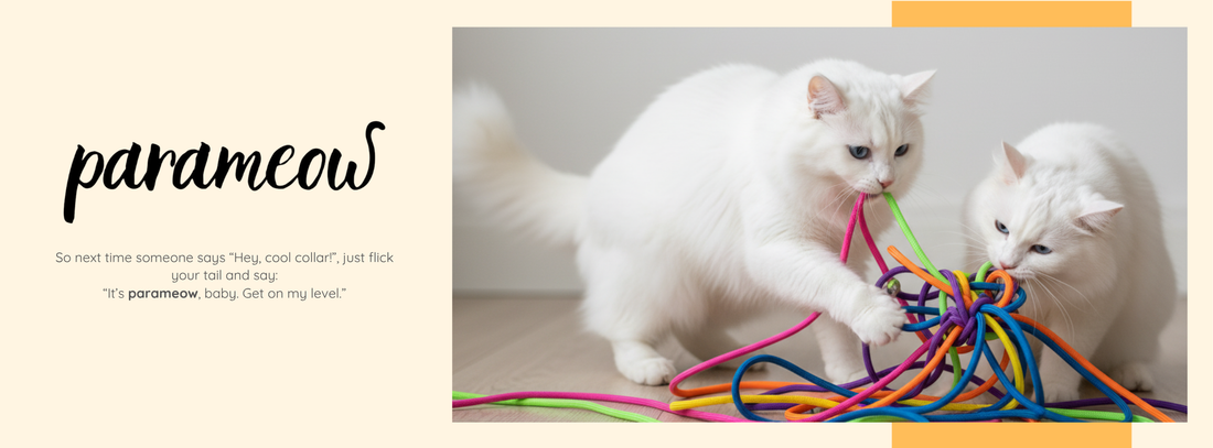 “Hey Fellow Cats! Let Me Tell You About Paracord – The Coolest String You’ll Ever Wear!”