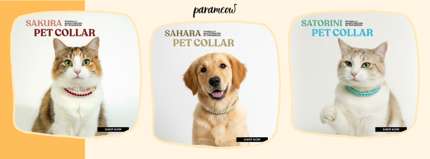 “Who Are You in Nature?” – Discover the Colors of Nature Collection by Parameow