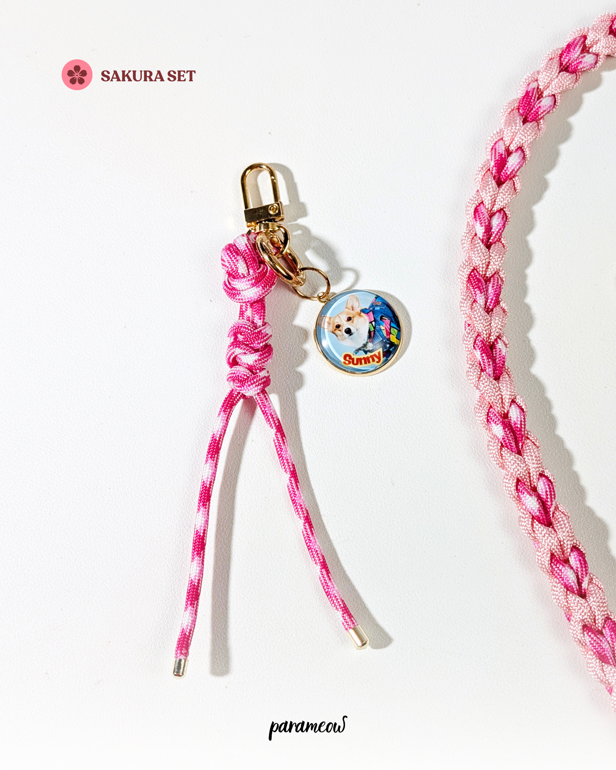 Sakura Set | Combo set quà cho chó mèo - vòng cổ. dây dắt, charm phụ kiện cá nhân hoá