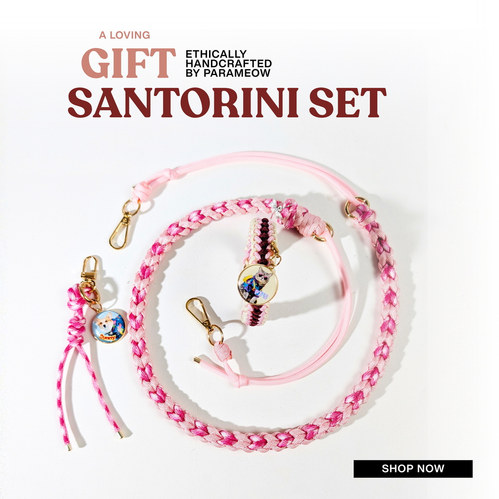 Sakura Set | Combo set quà cho chó mèo - vòng cổ. dây dắt, charm phụ kiện cá nhân hoá