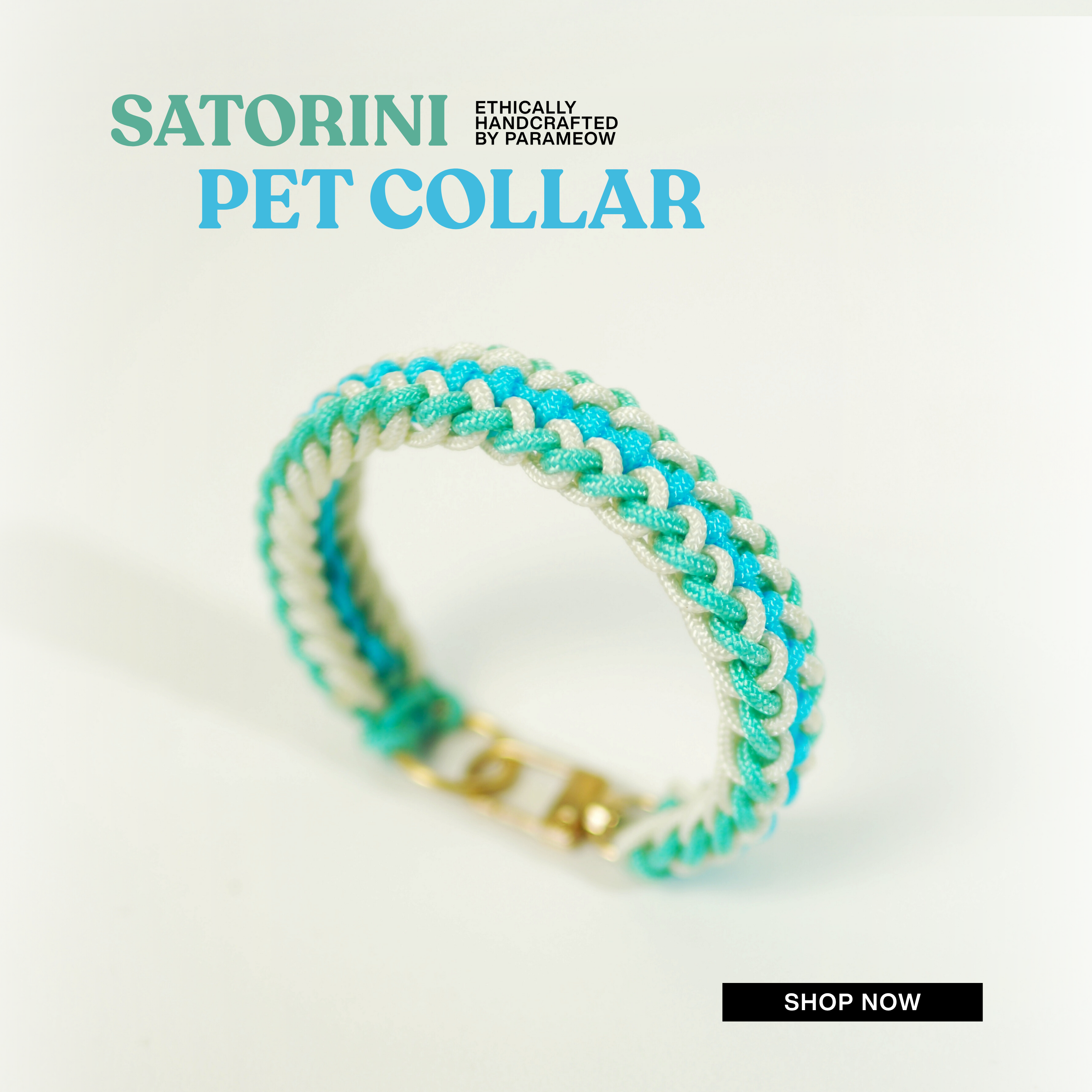 SAHARA Pet Collar | Handcrafted Pet Collar Gift Box by Parameow 