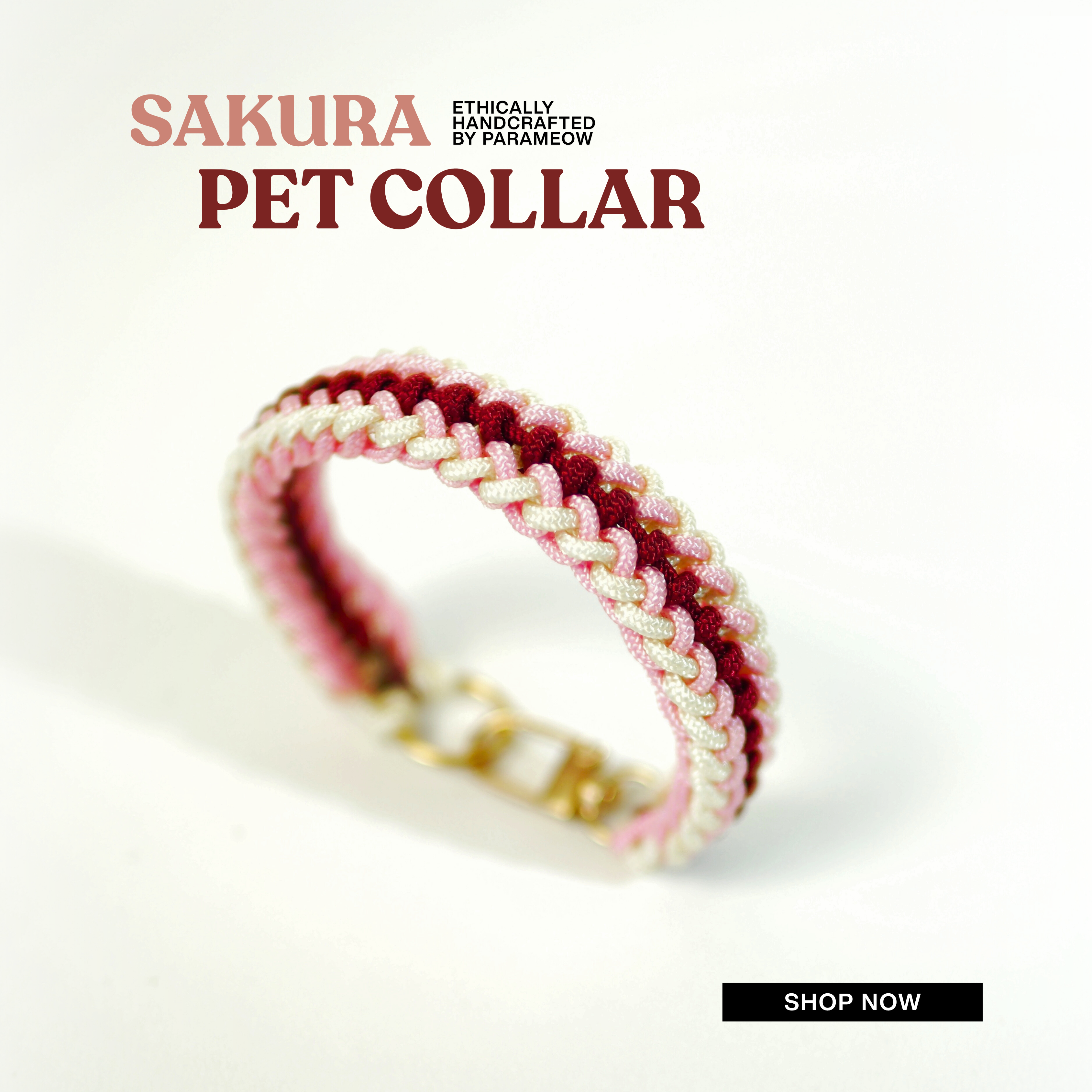 SAHARA Pet Collar | Handcrafted Pet Collar Gift Box by Parameow 