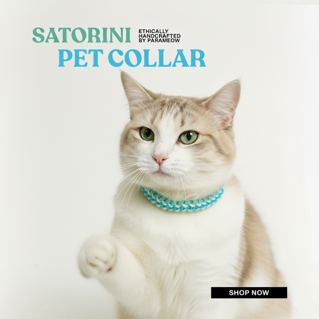 Cat wearing a turquoise pet collar with 'Satorini' branding on a light background