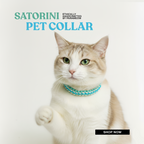 Cat wearing a turquoise pet collar with 'Satorini' branding on a light background